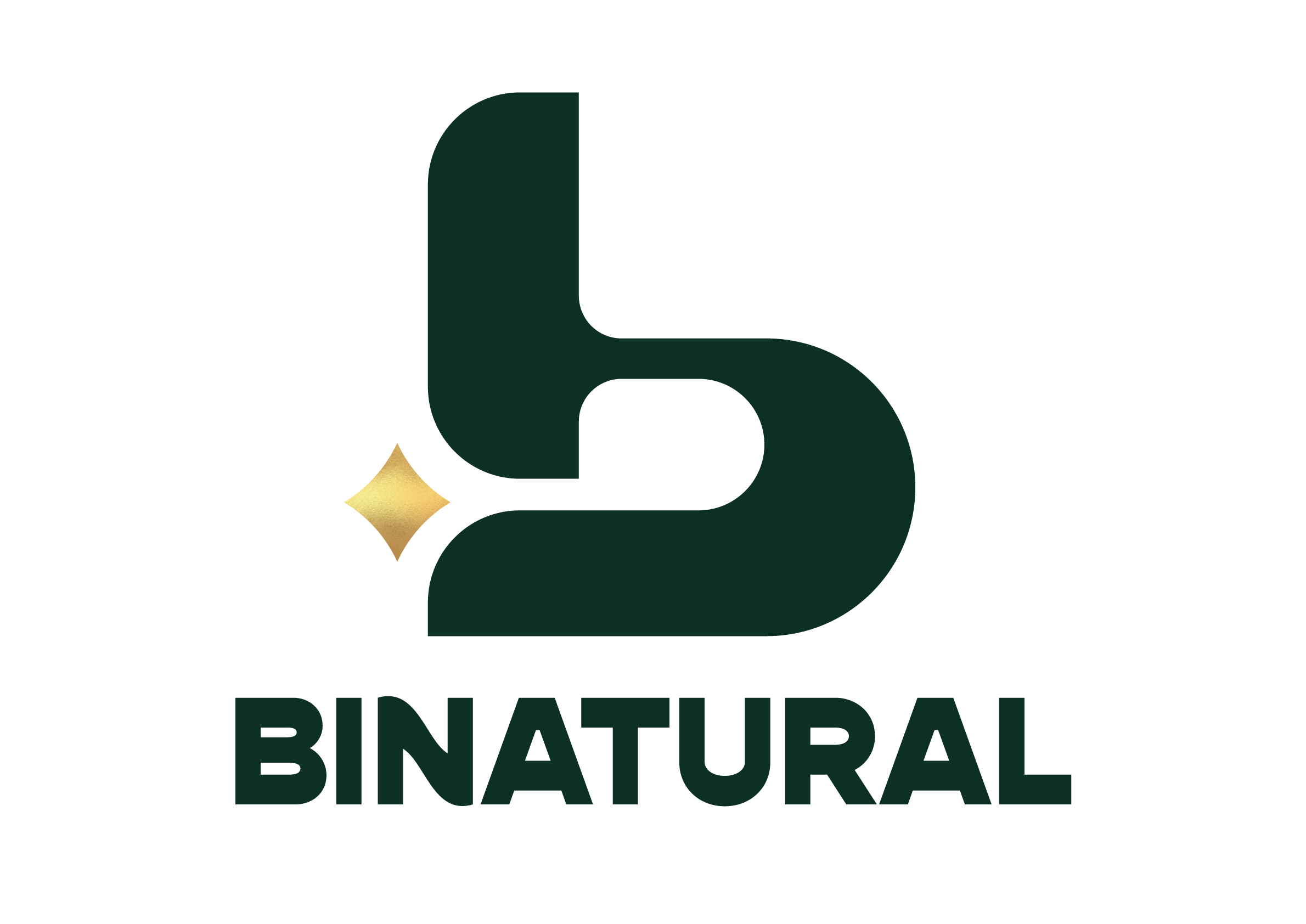 BINATURAL ENERGIAS RENOVAVEIS S.A